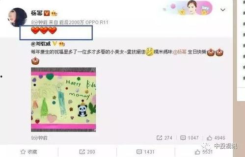 娛樂(lè)吃瓜醬生日,生日快樂(lè)，揭秘這位娛樂(lè)圈“瓜王”的獨(dú)家魅力