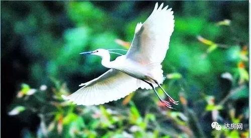 愛(ài)豆吃瓜娛樂(lè)白鷺,白鷺帶你揭秘娛樂(lè)圈幕后故事