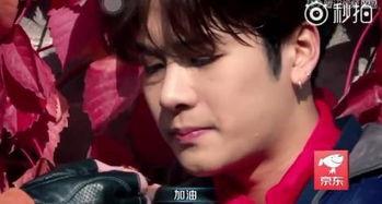 吃瓜娛樂圈王嘉爾是誰,娛樂圈的瓜中明星