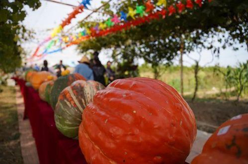 浮云娛樂(lè)吃瓜,揭秘娛樂(lè)圈最新吃瓜事件