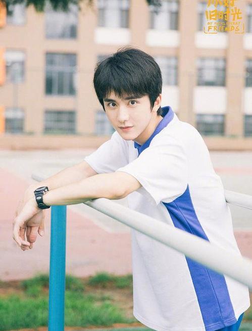 娛樂圈吃瓜爆料張新成,揭秘背后的真相與爭議