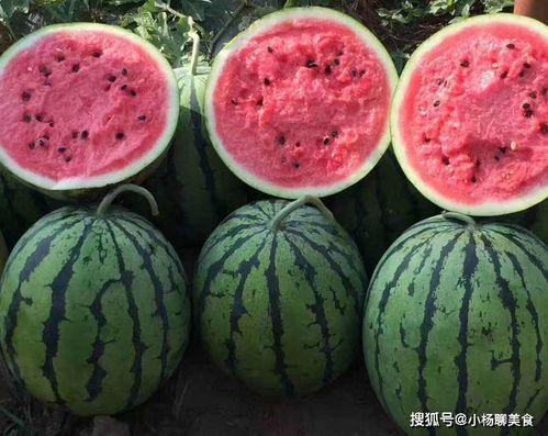 笑不活了娛樂吃瓜醬,笑不活了！娛樂吃瓜醬帶你揭秘娛樂圈那些鮮為人知的幕后故事