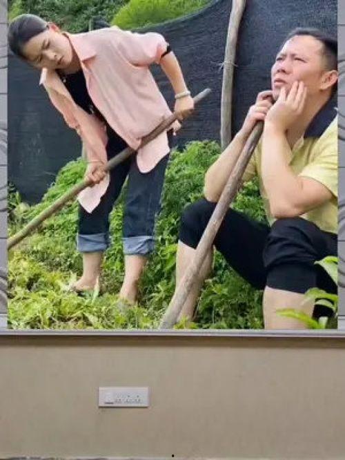 娛樂八卦一定是吃瓜群眾,揭秘“吃瓜群眾”的娛樂八卦盛宴