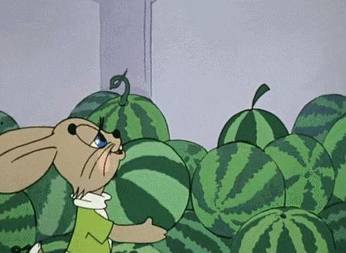 全球吃瓜娛樂,瓜田李下，娛樂盛宴