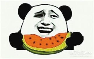 娛樂吃瓜蜀黍毛球,揭秘娛樂圈幕后故事