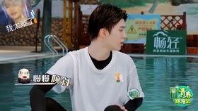 娛樂(lè)圈吃瓜楊迪,娛樂(lè)圈吃瓜達(dá)人，揭秘幕后故事