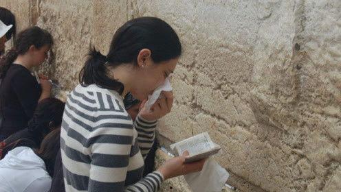 娛樂吃瓜君白鹿,娛樂吃瓜君的甜蜜蛻變之旅