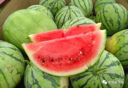 娛樂園吃瓜,揭秘明星幕后故事