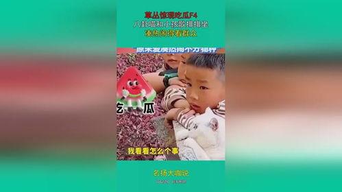 娛樂吃瓜群眾歌曲大全,歌曲大全盤點