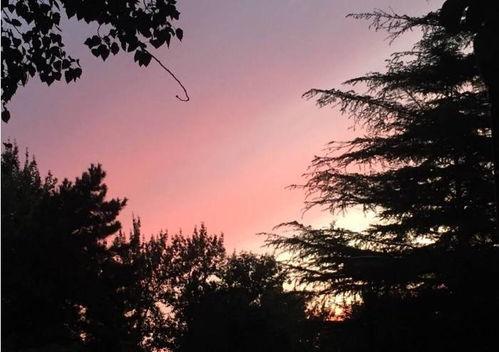 娛樂吃瓜醬晚霞,吃瓜醬帶你領(lǐng)略?shī)蕵啡ν硐紩r(shí)刻