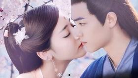 吃瓜小說娛樂圈完結文,瓜田里的甜蜜復仇