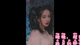 吃瓜小說娛樂圈完結文,瓜田里的甜蜜復仇