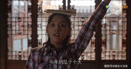 娛樂(lè)圈無(wú)腦吃瓜,無(wú)腦吃瓜，揭秘明星幕后故事