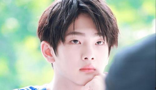 娛樂吃瓜小將王惠小說,娛樂圈的吃瓜小將，揭秘明星背后的故事