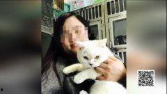 娛樂吃瓜醬小貓坐公交車,萌寵坐公交，趣味橫生一幕