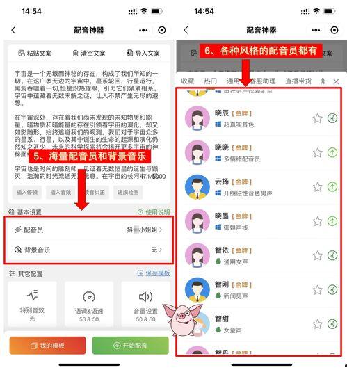 娛樂吃瓜音效軟件哪個好,哪個是你的最佳選擇？