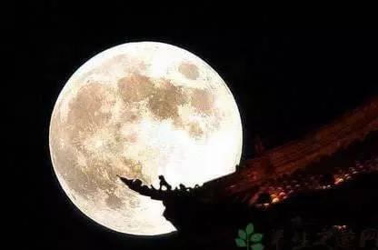 月亮吃瓜娛樂說,揭秘娛樂圈幕后故事