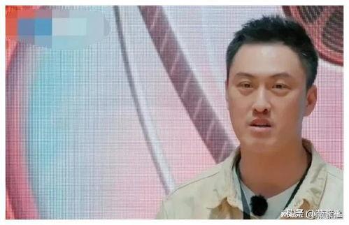 娛樂圈吃瓜爆料水印,揭秘明星幕后故事，水印見證真相！