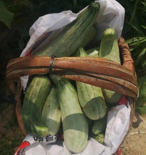 娛樂吃瓜帶貨,娛樂圈吃瓜達(dá)人帶你解鎖帶貨新姿勢(shì)