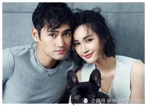 吃瓜明星娛樂(lè)圈百度云下載,揭秘?zé)衢T下載背后的故事