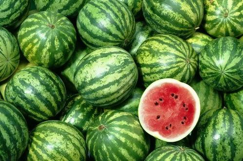 娛樂(lè)吃瓜作品在哪看,盤(pán)點(diǎn)各大平臺(tái)熱門(mén)作品一覽