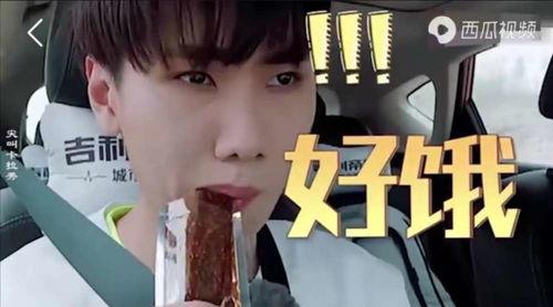 愛豆吃瓜娛樂醬肖宇梁,愛豆吃瓜娛樂醬，揭秘娛樂圈幕后故事