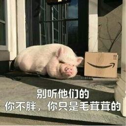 娛樂(lè)吃瓜醬豬豬視頻下載,揭秘?zé)衢T娛樂(lè)內(nèi)容獲取新方式