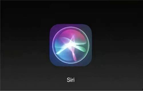 娛樂(lè)718.吃瓜ios,揭秘“吃瓜iOS”背后的熱門(mén)話(huà)題與趣味瞬間