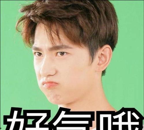 娛樂(lè)吃瓜張小寒,娛樂(lè)吃瓜界的風(fēng)云人物