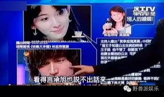 娛樂吃瓜蜀黍廣告視頻在線觀看,揭秘熱門廣告視頻，帶你領略網(wǎng)絡娛樂新風尚