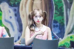 吃瓜少女喵娛樂,揭秘娛樂圈幕后故事